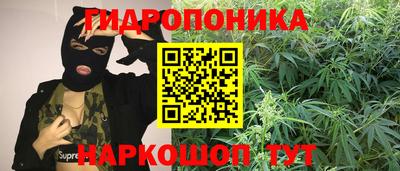 мяу мяу мука Тулун