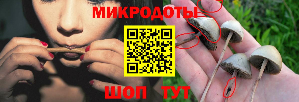 Псилоцибиновые грибы MAGIC MUSHROOMS  Вход с VPN  Новоалтайск 